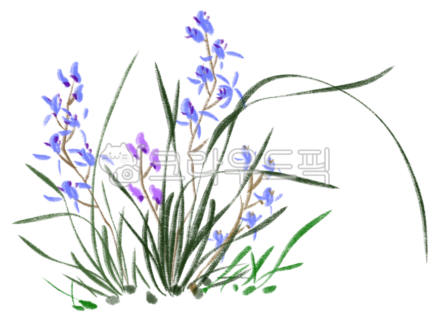 난, 난초, 동양화, 수묵화, 사군자, 사진,이미지,일러스트,캘리그라피 - dinya작가