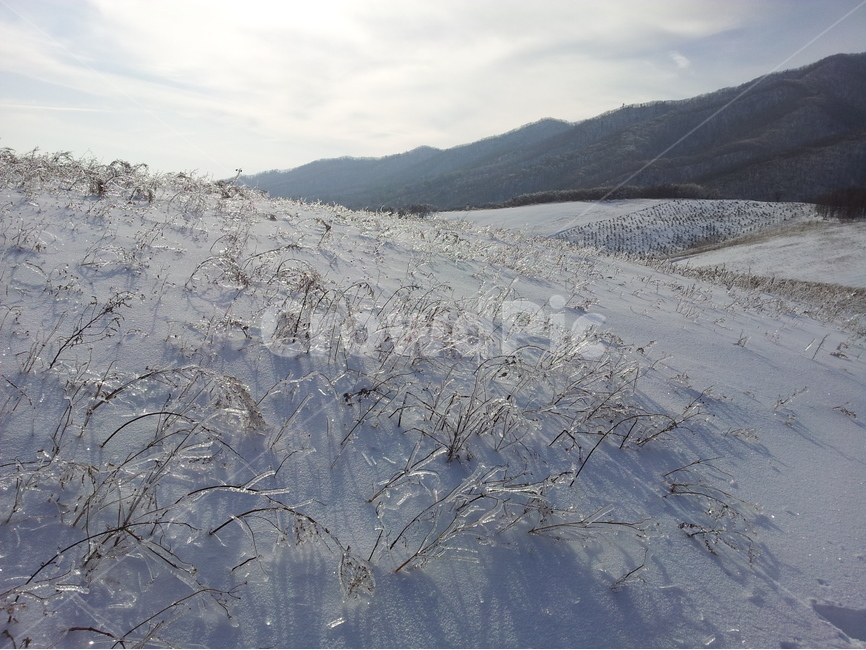 오대산,상고대,설경,눈,겨울,국립공원,겨울,계절,winter,season,자연,풍경,nature,landscape,outdoors,옥외,snow,mountain,산