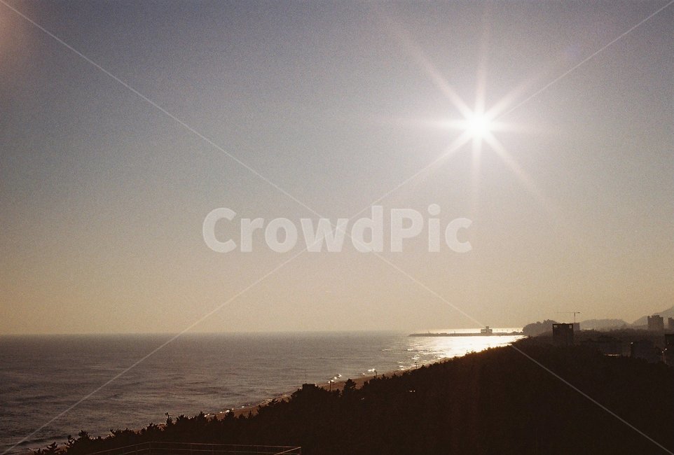 light,빛,flare,플레어,햇빛,필름카메라,필카,뉴트로,레트로