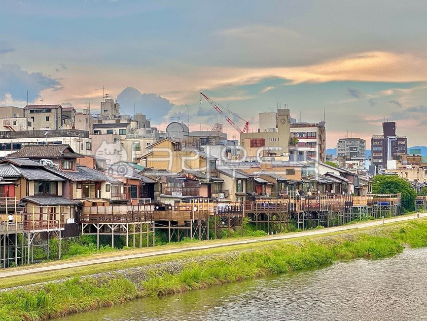 일본,감성,오후,오사카,힐링