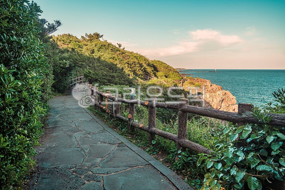 제주도,올레길,산책길,둘레길,산책로,도로,울타리,숲,바다,수평선,풀,나무,식물,자연,하늘,구름,관광지,handrail,banister,난간,flagstone,판석