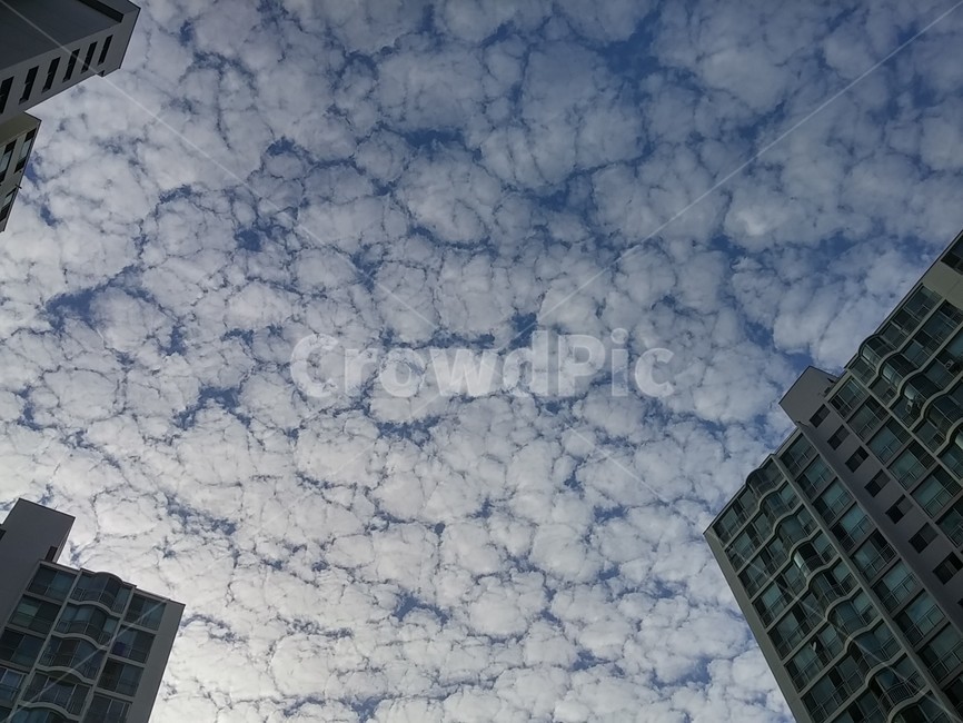 구름,고층건물,building,cloud,sky,하늘