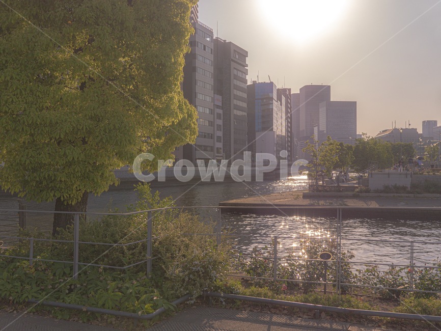강,호수,공원,나무,풍경,도시,풍경,city,landscape,휴식,힐링,rest,relaxation,healing