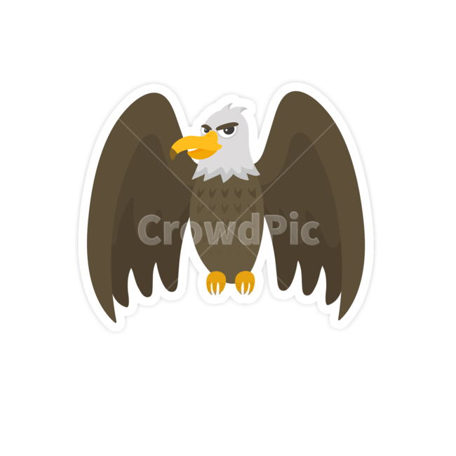 animal,동물,eagle,독수리,bird,baldeagle,대머리독수리,날개,조류,그래픽,일러스트레이션,graphic,illustration