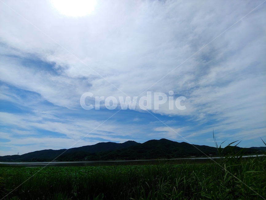 하늘,풍경,파란,역광,구름,태양,들판,자연,풍경,nature,landscape,outdoors,옥외