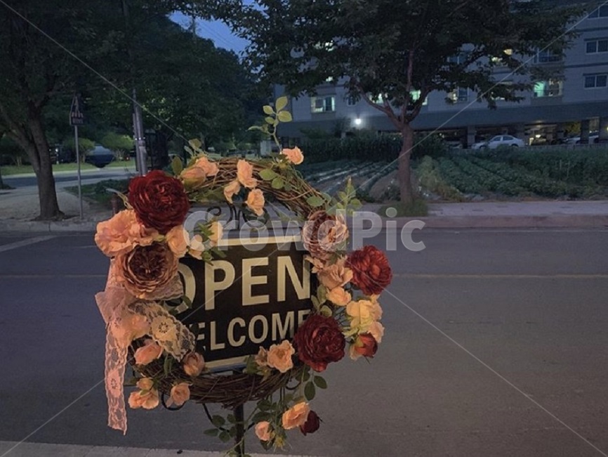 저녁,분위기,길,꽃,감성