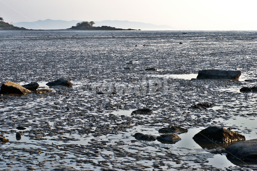 갯벌,바다,자연,진흙,흙,모래,서해,섬,자연,풍경,nature,landscape,한국자연풍경,한국자연경관,korea nature landscape,ocean,대양,sea,water,물,outdoors,옥외,promontory,곶