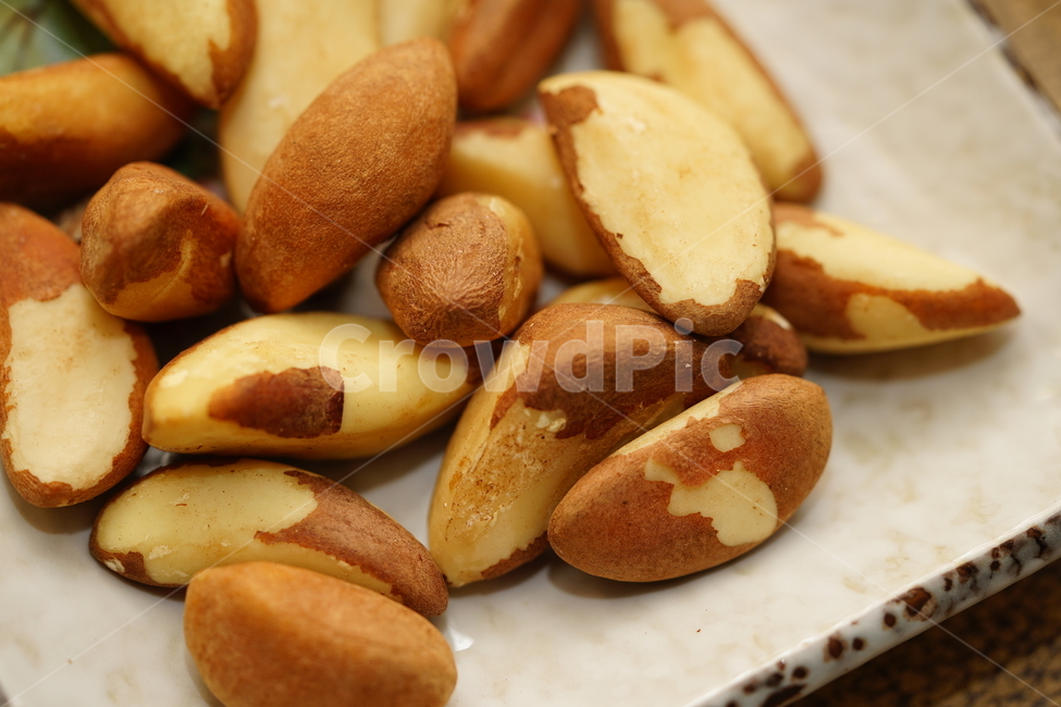 견과류,씨앗,접사,브라질너트,브라질넛,먹거리,안주,안주거리,음식,간식,건강식,견과,푸드,슈퍼푸드,주전부리,음식,식재료,요리,food,cook,meal,dishes,food reserves,콩류,견과류,beans,pulse,nuts,dry fruits