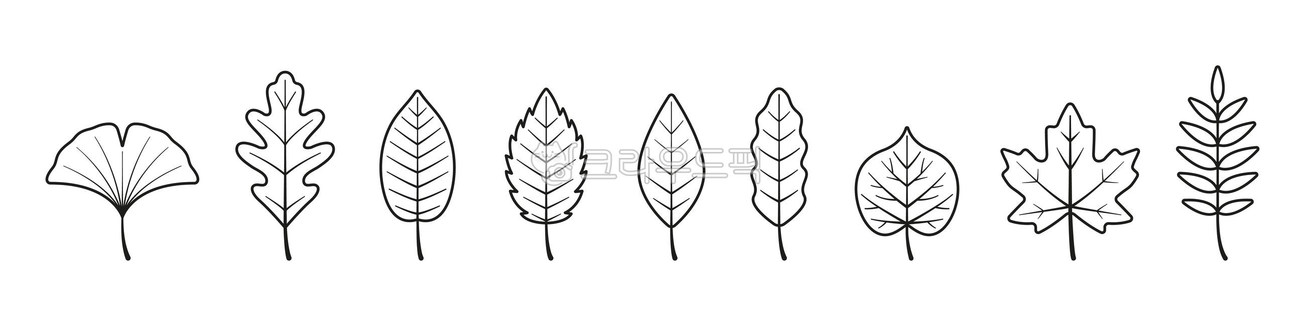 나뭇잎,낙엽,잎,가을,단풍,단풍잎,은행잎,식물,라인,라인드로잉,색칠도안,색칠자료,색칠공부