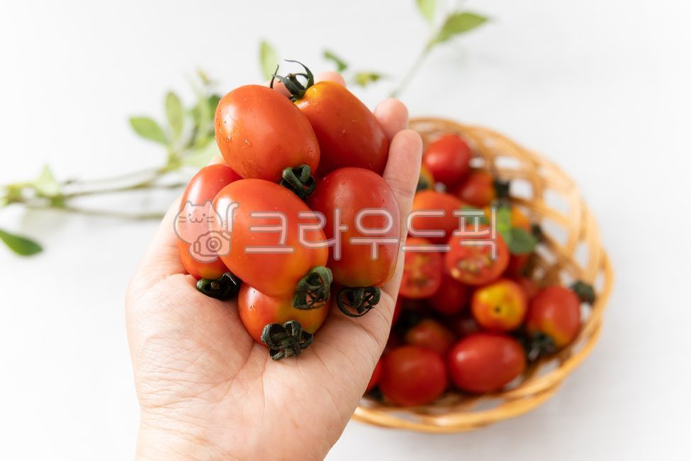 Tomatoes,cherry tomatoes,stevia cherry tomatoes,stevia tomatoes,red tomatoes,jujube tomatoes,jujube cherry tomatoes,fruits,vegetables,healthy food,stems,food ingredients,food ingredients,tomatoes,desserts
