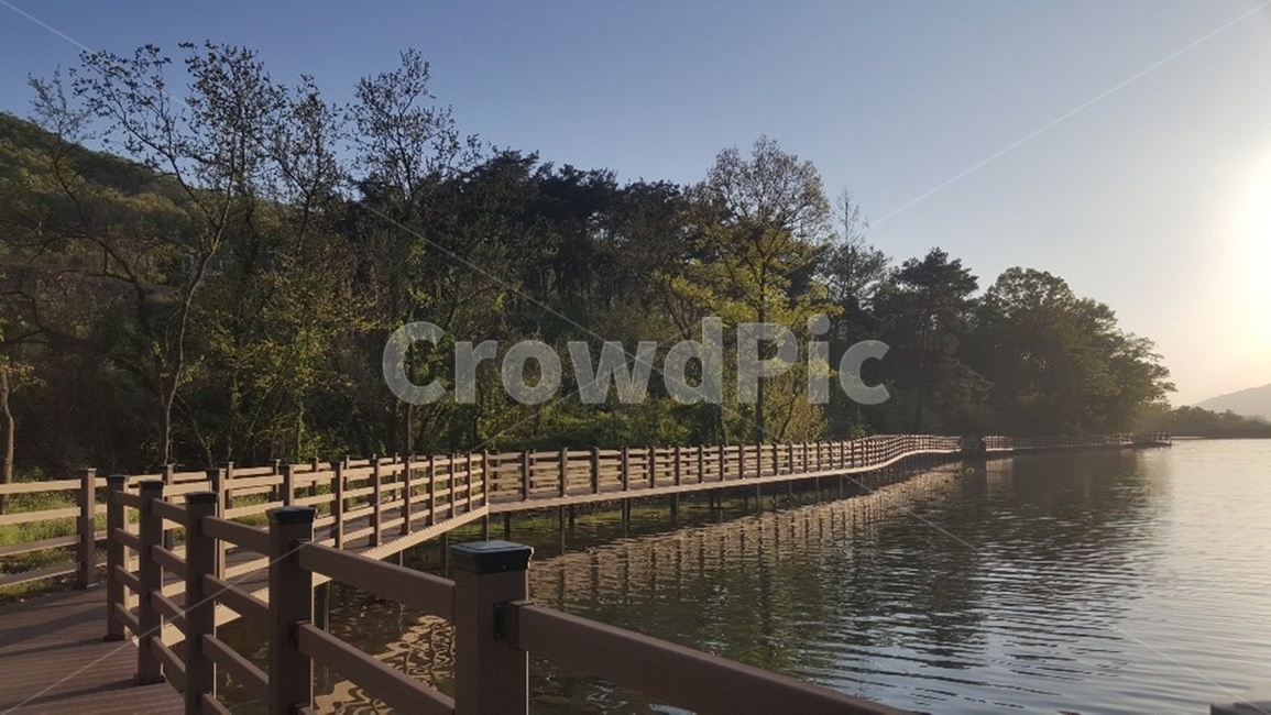 풍경,둘레길,자연,나무,저수지,물,자연,풍경,nature,landscape