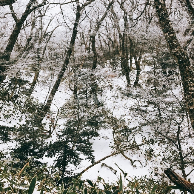 겨울,산,한라산,제주도,겨울산,winter,mountain,눈,snow,wintermountain