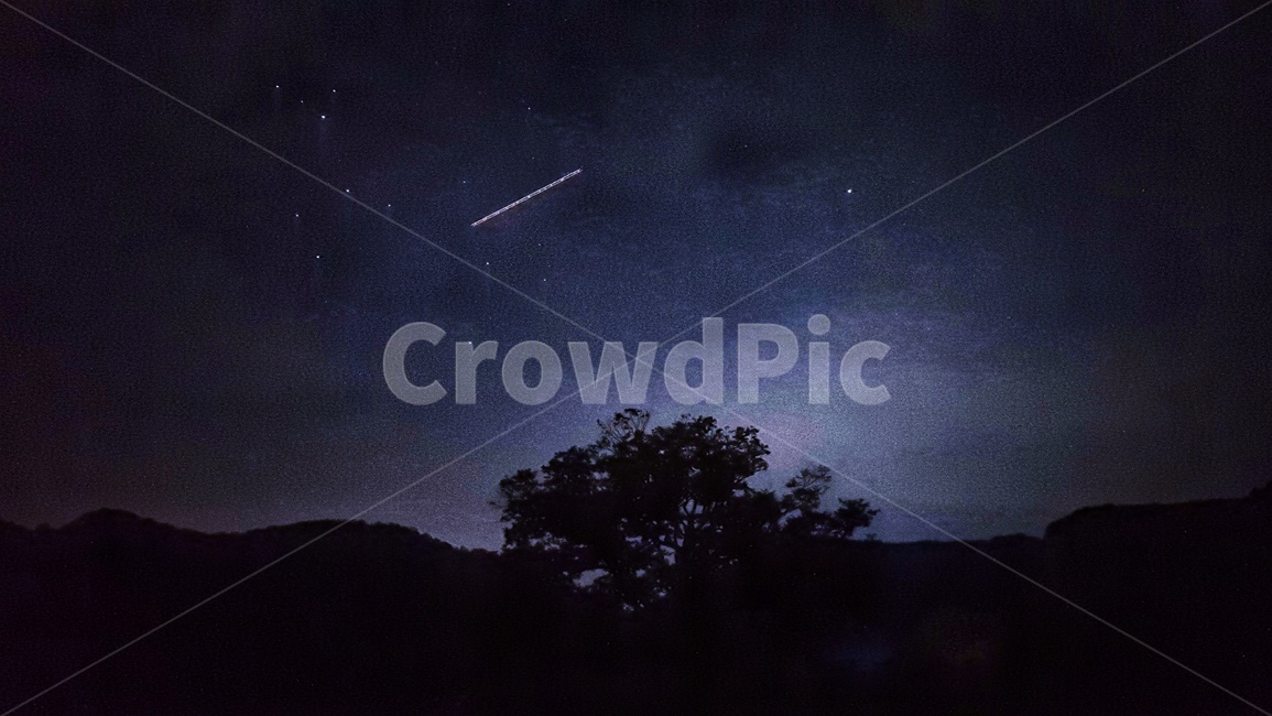 별,나무,하늘,밤,자연,nature,옥외,outdoors,야경,밤,풍경,nightscape,night,landscape