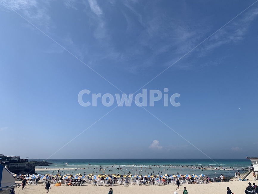 해안선,바다,바닷가,물,자연,해변,바다,beach,sea