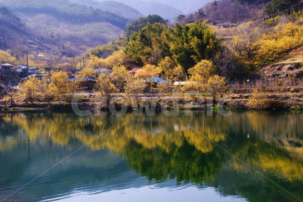 지리산,현천마을,저수지,봄,산수유,반영,노랑,시골,자연,풍경,nature,landscape,봄,계절,spring,season,시골,마을,country,rural,town,water,물,outdoors,옥외