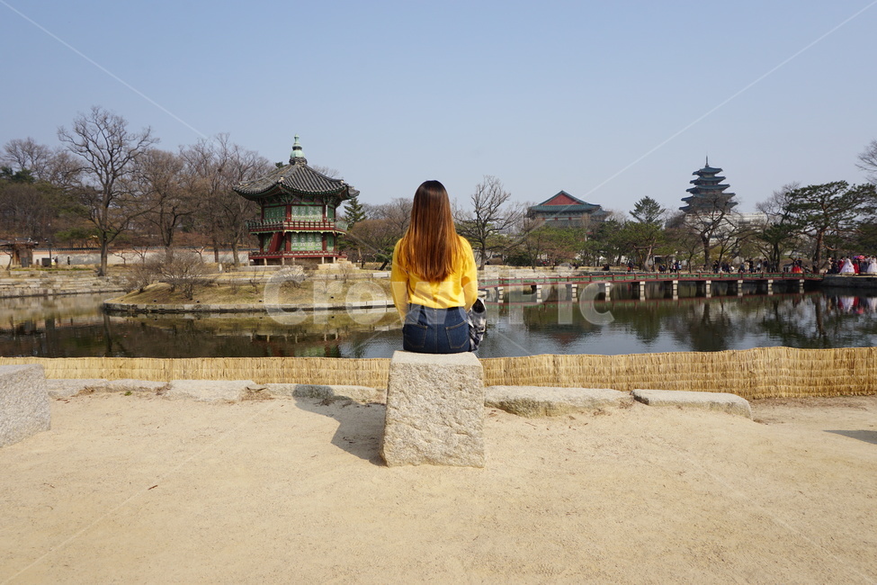 경복궁,데이트,여자,뒷모습,여자뒷모습,연못,따뜻함,한국전통,한국문화,korean traditional,korean culture,랜드마크,landmark,tourist attraction,한국랜드마크,한국관광지,한국명소,korea landmark,korea tourist attraction,사람,인물,인간,human,person,여성,여자,woman,female,lady,여행,휴가,traveling,vacation,trip