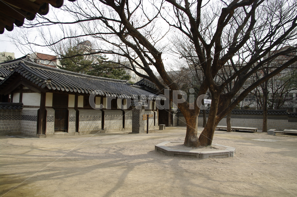 한옥,tradition,나무,전통가옥,운현궁,마당