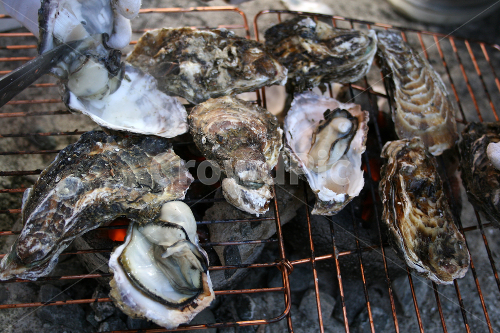석화,석화구이,굴,구이,음식,음식,식재료,요리,food,cook,meal,dishes,food reserves,수산물,해산물,fishery products,seafood