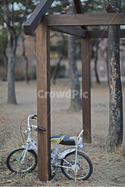 자전거,나무,두발자전거,bicycle,wood,tree,빈티지사진,빈티지느낌,빈티지감성,vintage