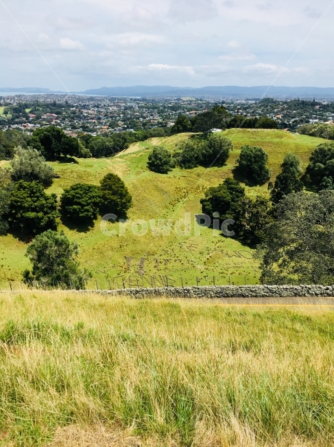 뉴질랜드,오클랜드,맑음,콘월파크,잔디,하늘,공원,자연,풍경,nature,landscape,해외,외국,세계,foreign,oversea,world,세계자연풍경,해외자연풍경,외국자연풍경,world nature landscape,outdoors,옥외,grassland,목초지,field,들