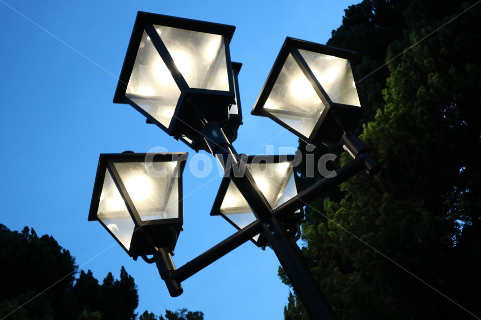 가로등,밤,하늘,나무,풍경,배경,야경,밤,풍경,nightscape,night,landscape,lampshade,갓,lamp,램프