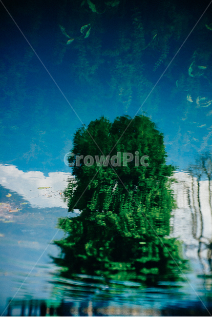 인도,풍경,반영,반전,나무,자연,풍경,nature,landscape,outdoors,옥외,land,땅