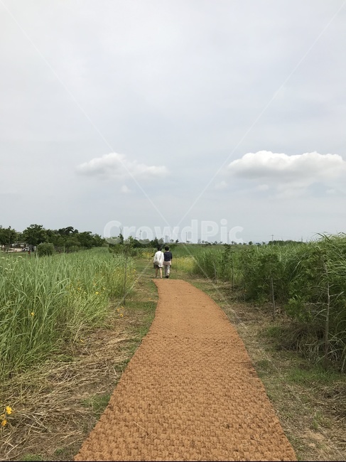 길,우정,공원,자연,하늘,여름,사랑,친구,뒷모습