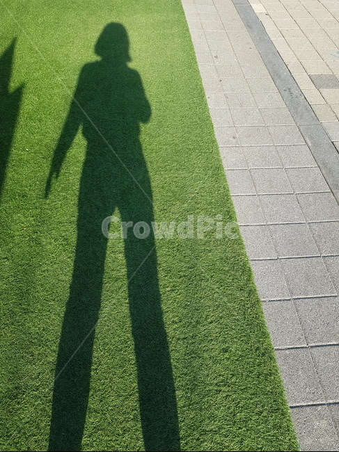 plant,식물,grass,잔디,그림자,사람,형체,실루엣