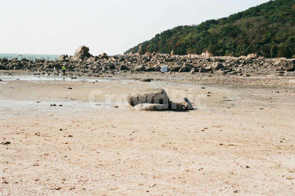 갯벌,해변,바다,갯모래,바위,자연,풍경,nature,landscape,ground,바닥
