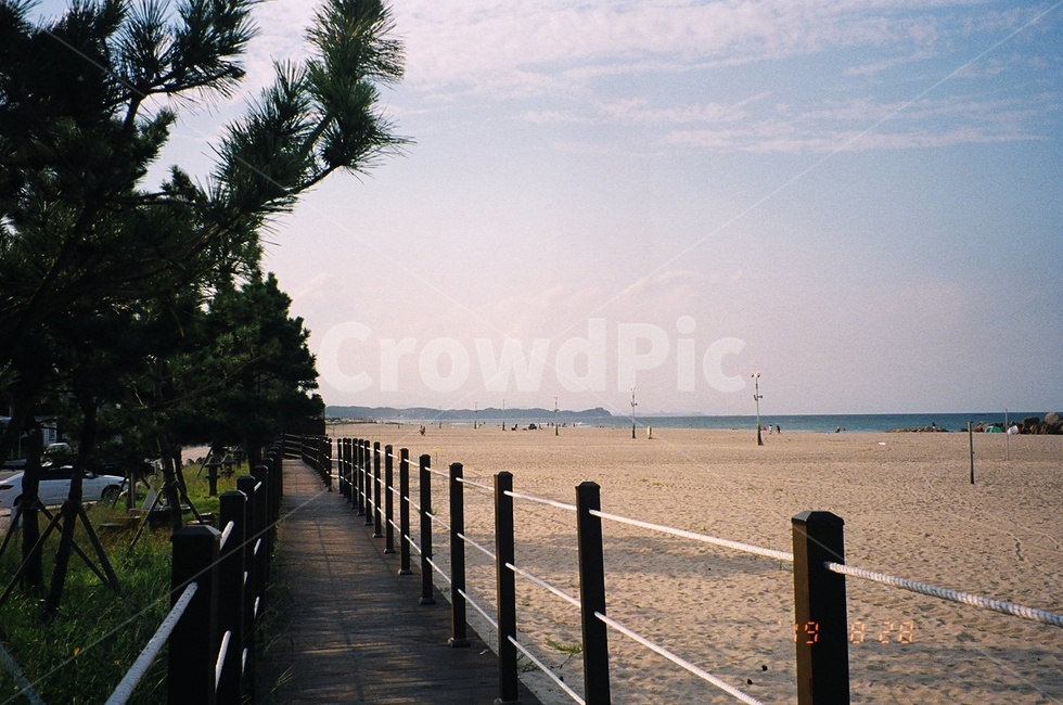 해수욕장,산책로,다리,boardwalk,강릉,자연,풍경,nature,landscape,bridge,building,건물