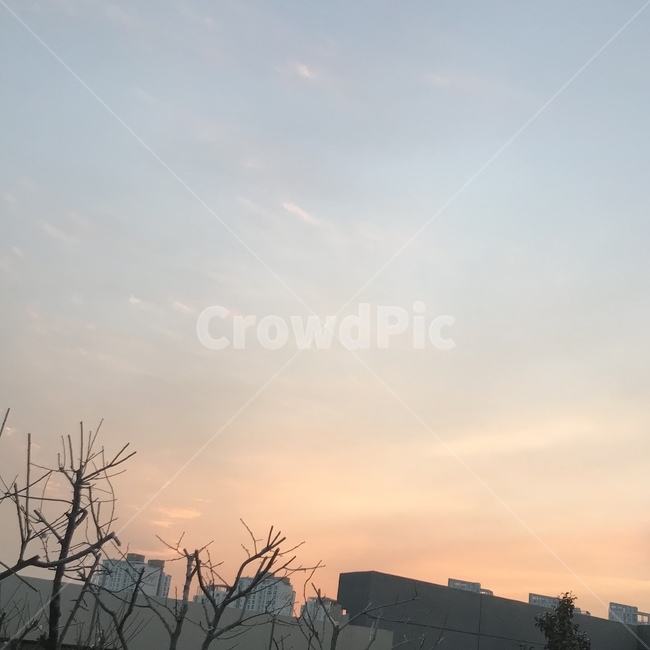 하늘,sky,노을,석양,자연,해질녘,자연,풍경,nature,landscape,outdoors,옥외