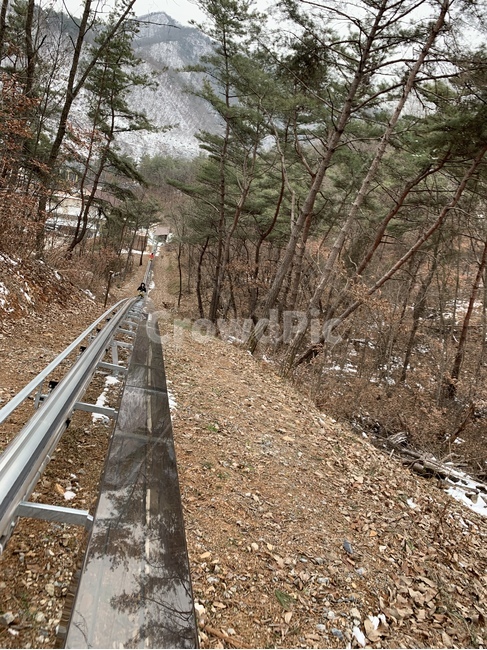 단양,얼음,겨울,길,도로,유흥,오락,기구,놀이기구