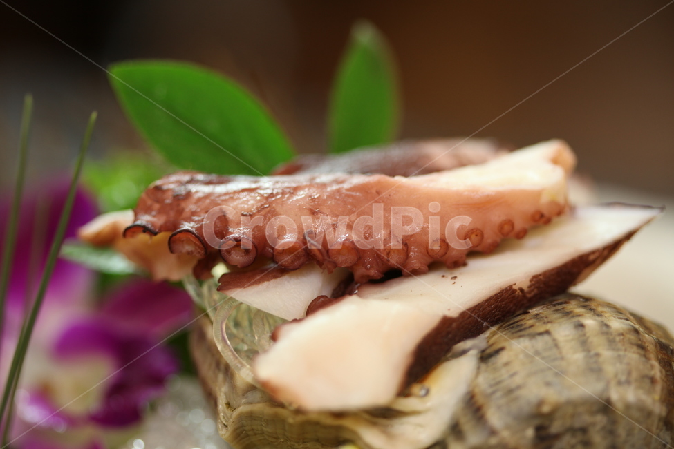 클로즈업,요리,식사,seafood,food,문어,음식,식재료,요리,food,cook,meal,dishes,food reserves,수산물,해산물,fishery products,seafood