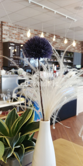 꽃,보라색꽃,식물,flower,관엽식물,coralplant,plants