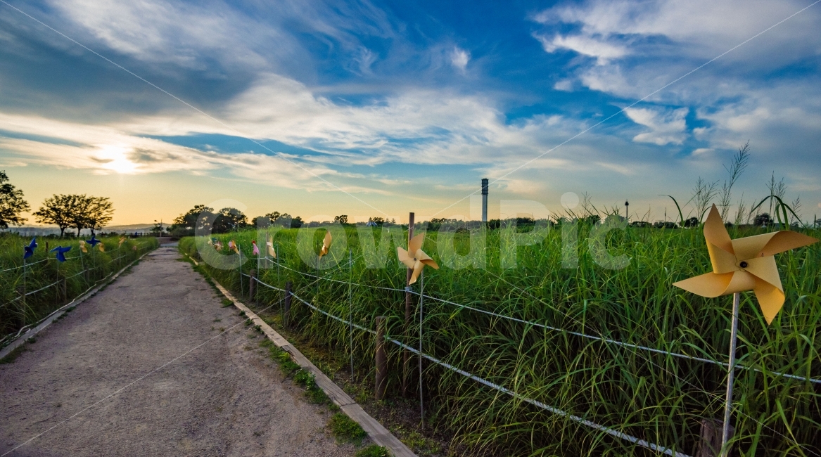vane,Sky Park,sunset,beautiful scenery,yellow,cloudy day,Sky of Autumn,Picturesque scenery