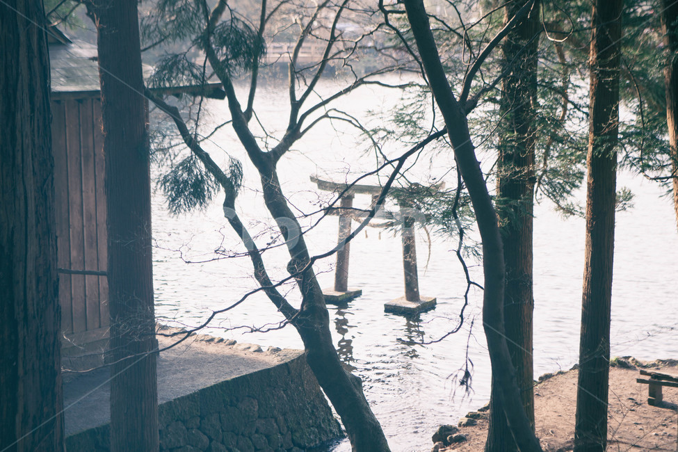 풍경,건축물,호수,자연,해외,일본,landscape,building,structure,japan,lake,nature,나무,tree,랜드마크,landmark,tourist attraction,해외,외국,세계,foreign,oversea,world,세계랜드마크,해외랜드마크,외국랜드마크,world landmark,world tourist attraction,식물,자연,plants,nature,나무,trees,wood,종교,신앙,religion,belief,faith,감성,sensible,feeling,건축물,건물외관,exterior,building,structure,architecture,construction,plant