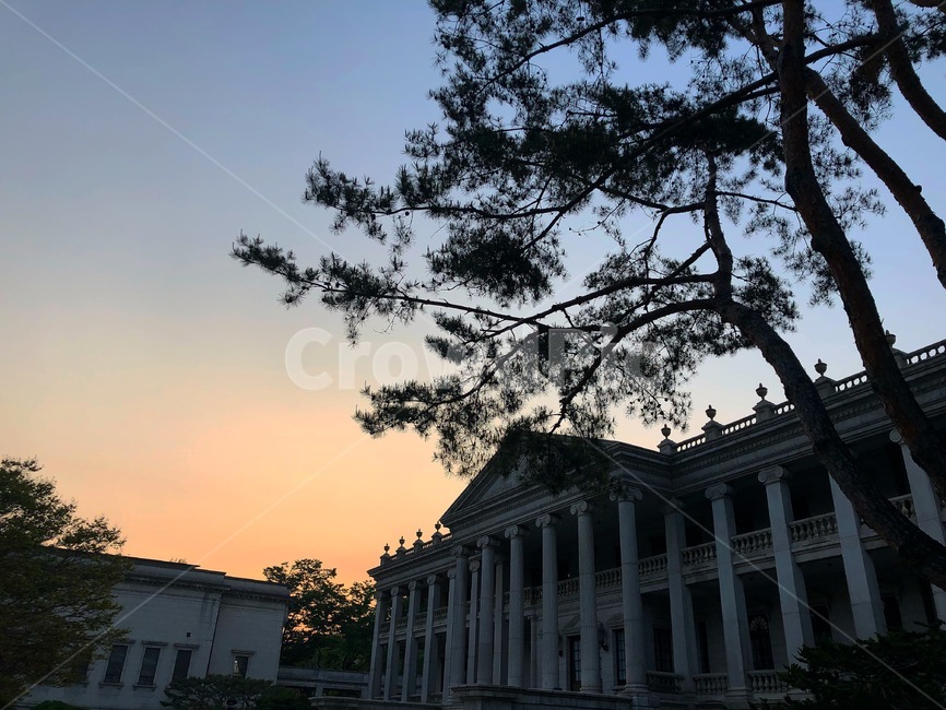 덕수궁,석조전,궁,궁궐,노을,일몰,한국,서울,korea,seoul,소나무,고종황제,대한제국,한국전통,한국문화,korean traditional,korean culture,건축물,건물외관,exterior,building,structure,architecture,construction