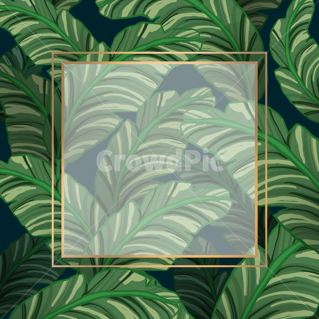 식물,열대식물,프레임,식물일러스트,타이틀프레임,타이틀,illustration,틀,graphic,nature,frame,title,초대장,청첩장,초록,브로슈어,잎사귀,잎,자연,보태니컬,botanical,금테두리,금색,카드,브로셔