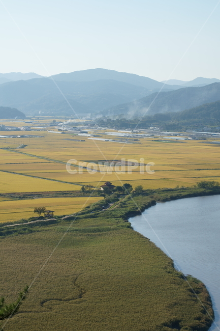 순천만,자연,가을,순천만습지,nature,koreanature,autumn,fall,landmark