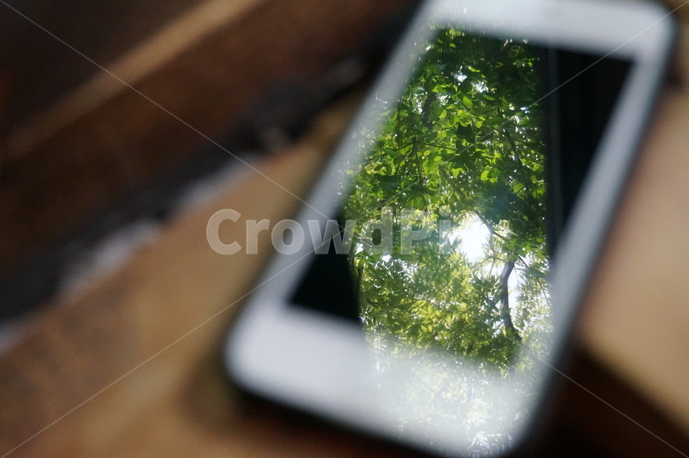iphone,iphone5,나무,액정,tree,nature,사물,물건,오브젝트,thing,object,matter