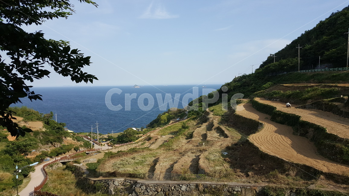남해,여름,밭,시골,바다,자연,시골,마을,풍경,landscape,country,rural,town