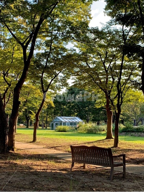 식물,공원,park,벤치,잔디,자연,풍경,nature,landscape,bench,grass,plant,outdoors,옥외,lawn