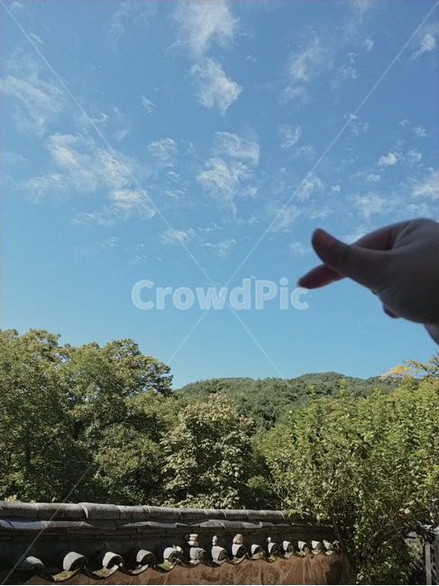 outdoors,옥외,nature,자연,담장,하늘,나무,tree,담,기와,담벼락,초록,파랑,구름,흙,돌,손,브이,여자손,여자,person,사람,human,인간