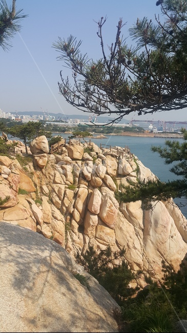 대왕암공원,배경,풍경,자연,대왕암