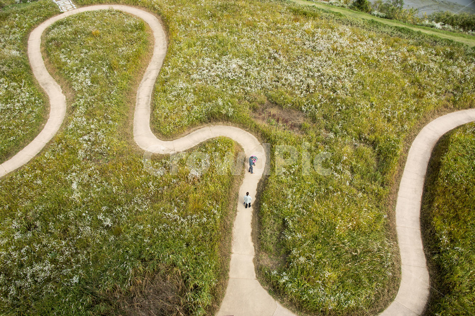 시흥갯골공원,길,억새길,시흥,갯골공원전망대,road,도로,nature,자연,outdoors,옥외,scenery,풍경,ground,바닥,snake,뱀,animal,동물