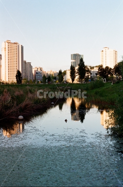 강,하늘,공원,나무,아파트,햇빛,park,도시,풍경,city,landscape,한국도시풍경,한국도시경관,korea cityscape,water,물,outdoors,옥외,nature,자연