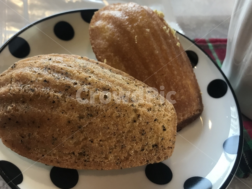 마들렌,카페,간식,빵,디저트,홍차,음식,식재료,요리,food,cook,meal,dishes,food reserves,빵,bread,디저트,간식,후식,dessert,snack