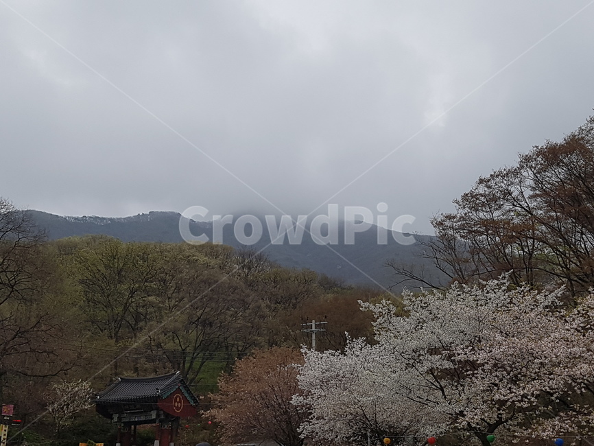 산,등산,하늘,풍경,도시
