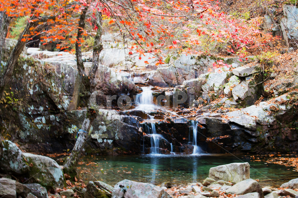 water,nature,폭포,단풍,괴산,가을,계절,fall,autumn,season,자연,풍경,nature,landscape