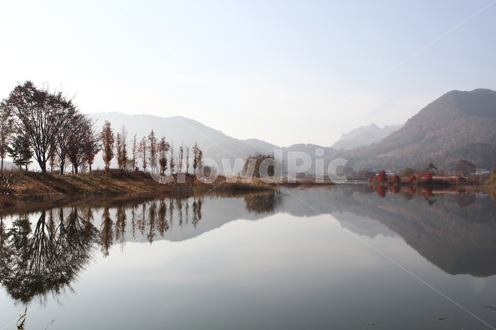 Jucheon Ecological Park,reflection,sight,autumn,gentian